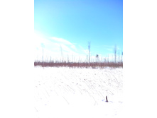 IMG 20170226 113747.jpg