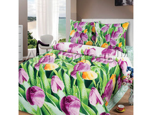 ���� � ����������� ������ 1,5 ��. �������!.jpg