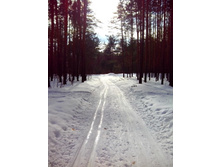 IMG 20170226 134402.jpg