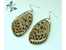 ������ Idea hypermnestra, 350