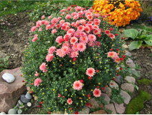 587100697e929 img3036.jpg