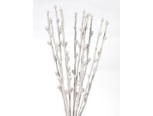 ������� � �������� Scrapberrys �����, 20 ��, 12 ��