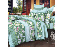 ������ ����� (2).jpg