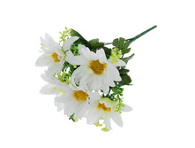 ����� "����� �������"����� "����� �������" �����; 30 ��; �������, ��������; � ����� 1200 ��. ���.: 1376792 63.00���.