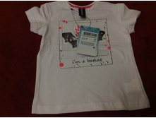 �������� ����� 92 �� 100 �