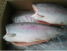 ������ �/� PREMIUM ����