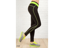 2309 ����  600���