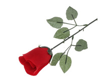 ������ ������������� "���� ��������"������ ������������� "���� ��������" �����; 6 �� × 10 �� × 55 ��; �������, ��������; � ����� 2000 ��. ���.: 428835 19.80 ���.