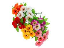 ����� "������ �������" ��������� "������ �������" ���� �����; 26 ��; �������, ��������; � ����� 800 ��. ���.: 1653775 50.20 ���.