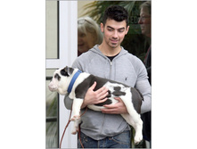 Clip image013[4].jpg