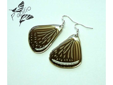 ������ Ideopsis vulgaris, 250