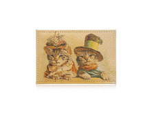 ������� ��� ���������� ����� ����