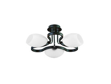 26907-03 2620�.jpg