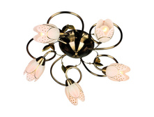 37907-05 2400�.JPG