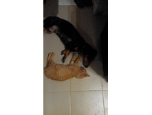 IMG 20161212 201810.jpg