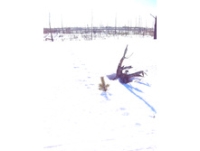 IMG 20170226 115703.jpg