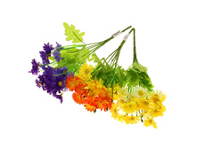 ����� "����� �������"����� "����� �������" �����; 30 ��; �������, ��������; � ����� 1200 ��. ���.: 1376792 63.00���.