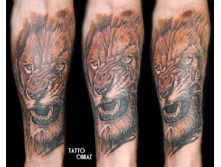 ���� �� ����.���������� ����.����� ����