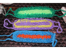 150��� ����������