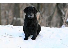 ���� ��� �� ��