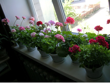 DSCN0690.JPG