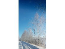 IMG 20161212 110214.jpg