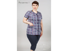 2/17-2100�� ������ ���. "�������"