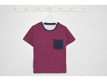 ������� 817 ��������� �������