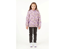 ������ ���� �����