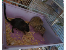 DSC09216.JPG