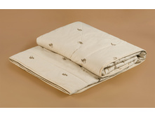 O�e��o �ep������ �epc�� �e��ee cԣ�a�oe