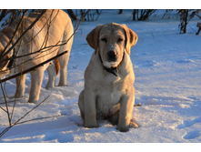 ������� �� ��