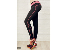 2309 ������� 600���