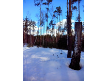 IMG 20170226 130343.jpg