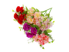 ����� "��������" 28 ��, ��������� "��������" 28 ��, ���� �����; 28 ��; �������, ��������; � ����� 800 ��. ���.: 1653771 45.00 ���.