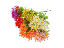 ����� "������" ��������� "������" ���� �����; 30 ��; �������, ��������; � ����� 600 ��. ���.: 1653778 58.90���.