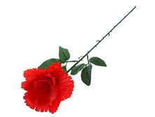 ������ ������������� "������ ����" ������������� ������������� "������ ����" ������� �����; 7 �� × 53 ��; �������, ��������; � ����� 899 ��. ���.: 1659283 32.89���.