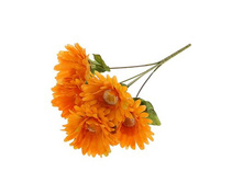 ����� "�������"����� "�������" �����; 32 ��; �������, ��������; � ����� 1200 ��. ���.: 1376791 55.00���.