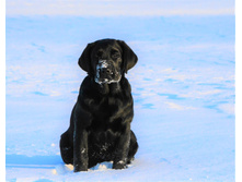 ���� ��� �� ��