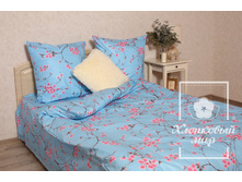 TH9A8310 �����.jpg