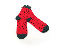 ����� ������� � �������� SXOO8U