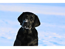 ���� ��� �� ��