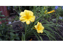 �������� ������ �� ���