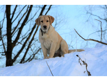 ������� �� ��