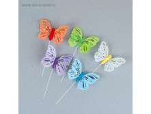 ����� ������� �� �������, ����� ���� ���.893432 ���� 33,32 ���, �� 12 �� ������! ������!.jpg