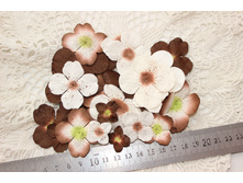 �������� �������� �� �������� Petaloo~34 ��������, ������ 1.8-4.2 ��.