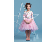 ������ 4070-1   1529 ���.