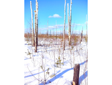 IMG 20170226 114308.jpg