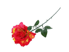 ������ ������������� "����" ��������� ����, ֣���-��������������� ������������� "����" ��������� ����, ֣���-��������� �����; 10 �� × 53 ��; �������, ��������; � ����� 600 ��. ���.: 1659290 39.05���.