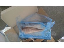 ���� �����